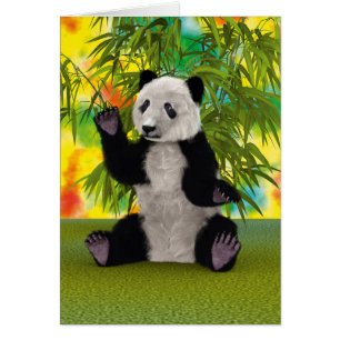 Panda Bear