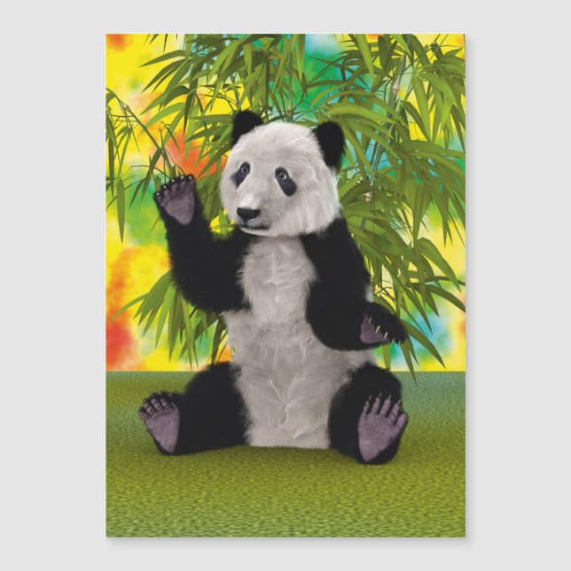 Panda Bear (Front)