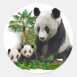 Panda bear and cubs art metal ornament classic round sticker