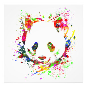 Panda Bear Animal Wild Jungle Forest China Bambo Photo Print