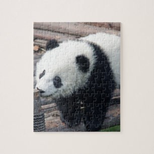 panda bear bears custom personalise Anniversaries Jigsaw Puzzle