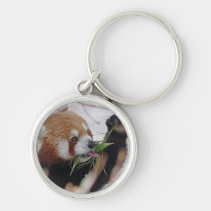 panda bear bears custom personalise Anniversaries Key Ring