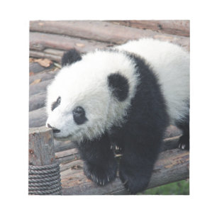 panda bear bears custom personalise Anniversaries Notepad