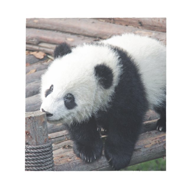 panda bear bears custom personalise Anniversaries Notepad (Front)
