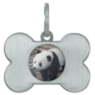 panda bear bears custom personalise Anniversaries Pet ID Tag