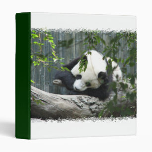 Panda Bear Binder