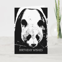 Panda Bear Birthday Wishes In Black And White