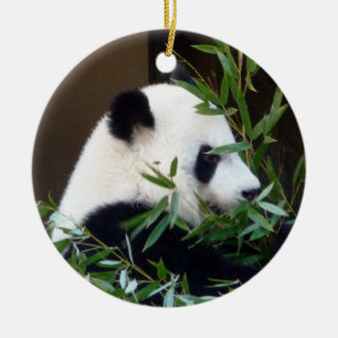 Panda Bear Ceramic Christmas Ornament
