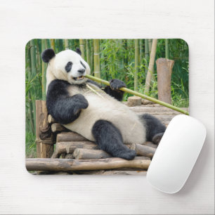 Panda Bear Chewing on a Bamboo Stalk Mouse Pad