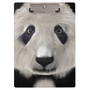 Panda Bear Clipboard