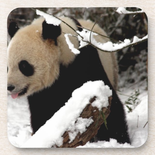 Panda Bear Coaster (Front)