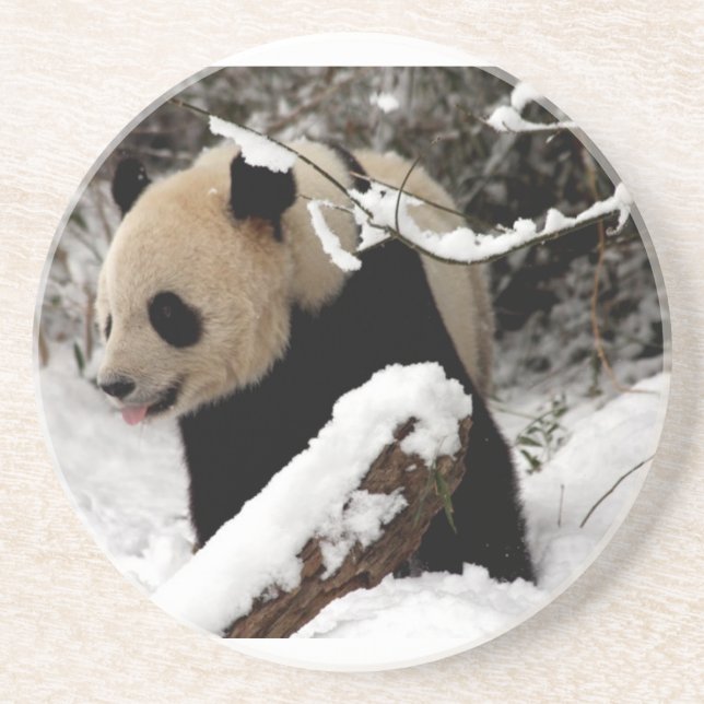 Panda Bear Coaster (Front)