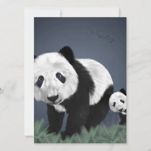 panda bear cute cuddly animal black white sweet