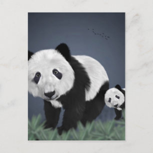 panda bear cute cuddly animal black white sweet postcard