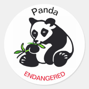 PANDA Bear - Endangered animal - Conservation Classic Round Sticker