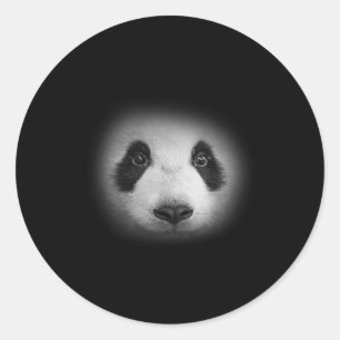 Panda Bear Face For Animal Lovers And Kind Bears Classic Round Sticker
