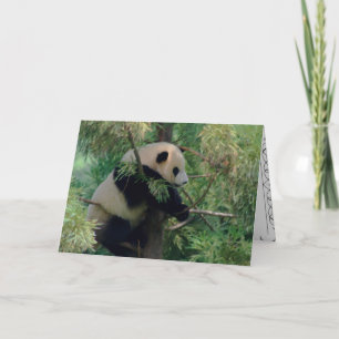 Panda Bear Hugs Card