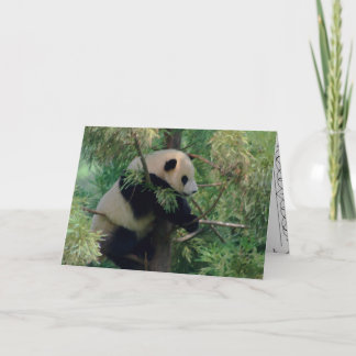 Panda Bear Hugs Card
