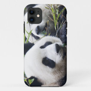 Panda Bear Hugs iPhone 11 Case