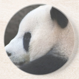 Panda Bear Hugs Coaster