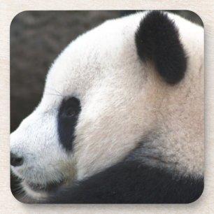 Panda Bear Hugs Coaster