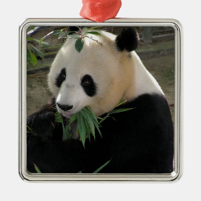 Panda Bear Hugs Metal Tree Decoration (Front)