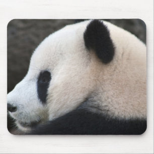 Panda Bear Hugs Mouse Pad