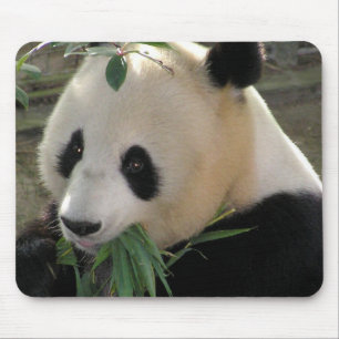Panda Bear Hugs Mouse Pad