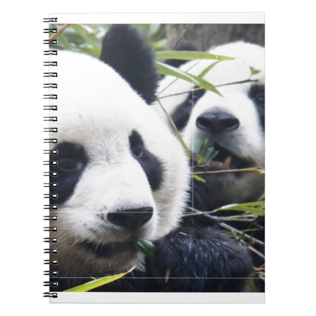 Panda Bear Hugs Notebook (Front)