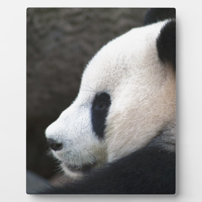 Panda Bear Hugs Plaque (Front)