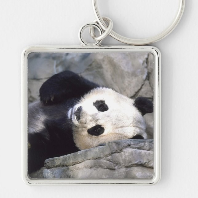 Panda Bear Key Ring (Front)