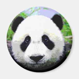 Panda Bear Magnet