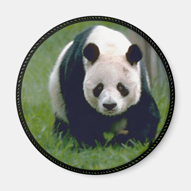 Panda Bear Magnet (Front)