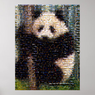 Panda Bear Montage Poster