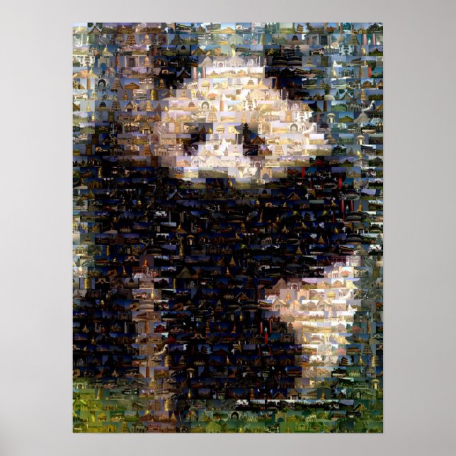 Panda Bear Montage Poster (Front)