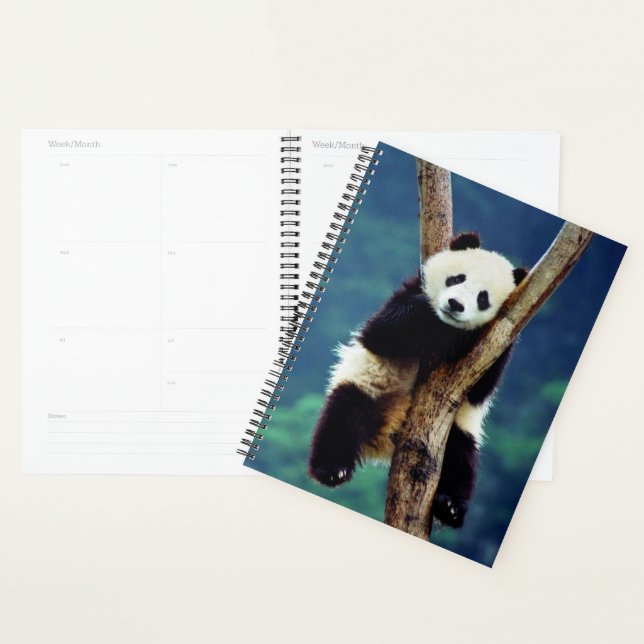 Panda Bear Planner (Display)