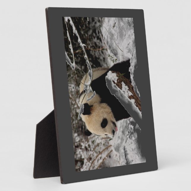 Panda Bear Plaque (Side)
