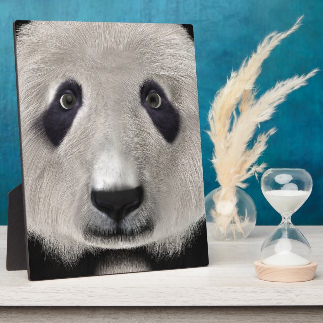 Panda Bear Plaque (Side)