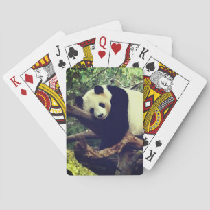 Panda Bear Playing Cards