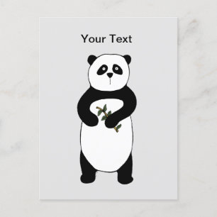Panda Bear Post Card