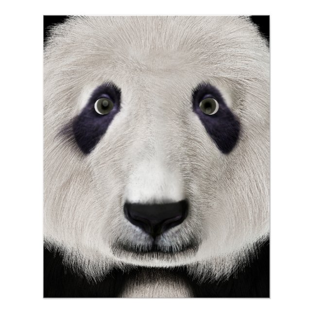 Panda Bear Poster (Front)