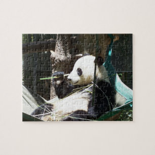 Panda Bear Puzzle