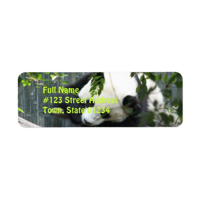 Panda Bear Return Address Label (Front)