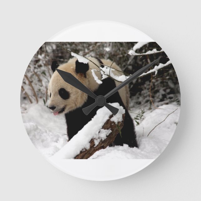 Panda Bear Round Clock (Front)