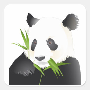 Panda Bear Square Sticker