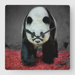 Panda Bear Square Wall Clock