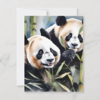 Panda Bear Study B - Watercolors