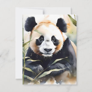 Panda Bear Study E - Watercolors Holiday Card