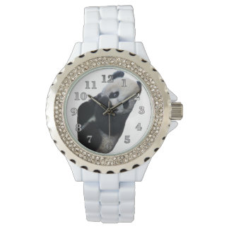 Panda Bear Watch