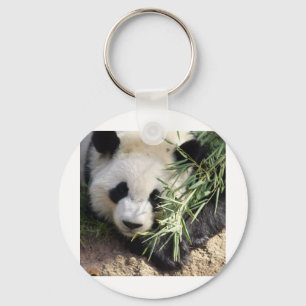 Panda Bear @ Zoo Atlanta Key Ring